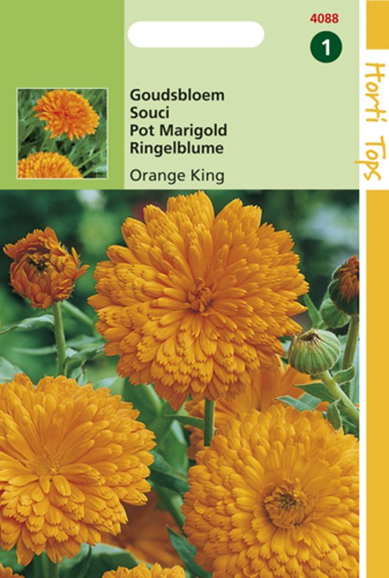 Goudsbloem Orange King (Calendula) 225 zaden